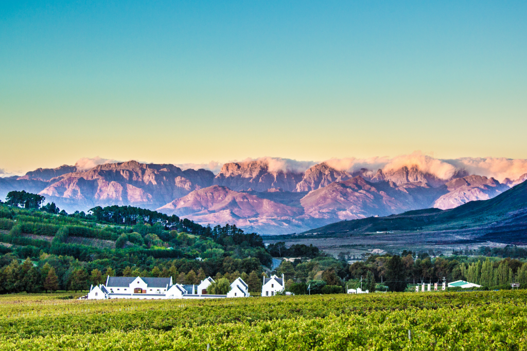 Cape-Town-Tourism-Winelands